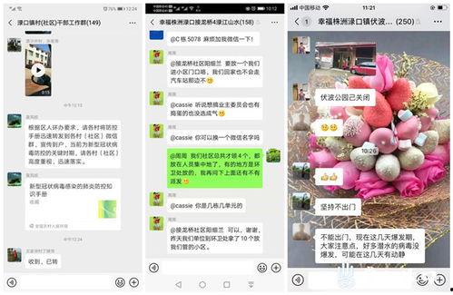 爆料吃瓜qq微信群,吃瓜QQ微信群背后的惊人爆料